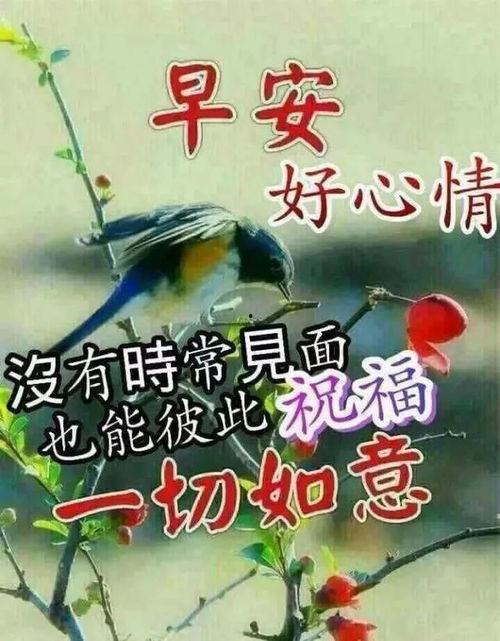 早上好 视频,开启美好一天的心灵之旅