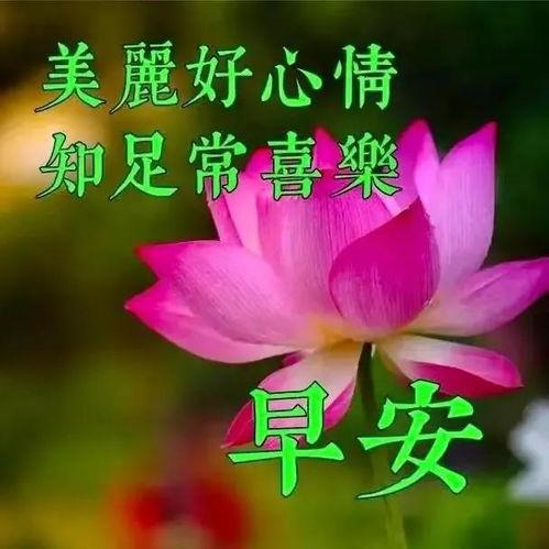 早上好 视频,开启美好一天的心灵之旅