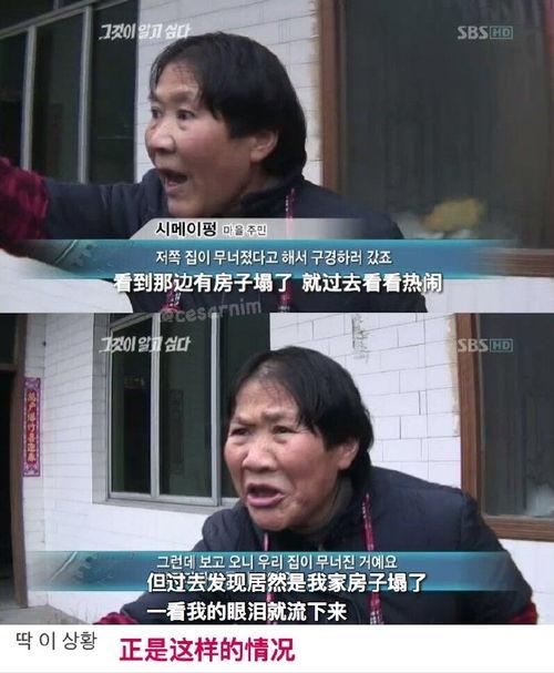 社会爆料吃瓜爆料,吃瓜爆料背后的真相与内幕