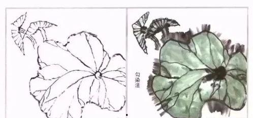 国画荷叶的画法视频,一笔一划展现自然之美