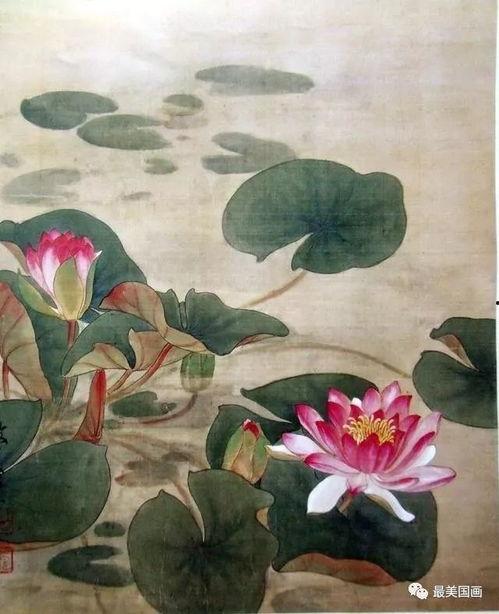 国画荷叶的画法视频,一笔一划展现自然之美