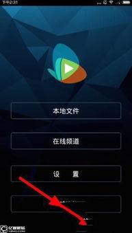 手机福利视频一区二区,精彩内容大揭秘，不容错过的视听盛宴