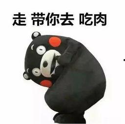 黑犬吃瓜表情包,趣味横生的网络文化现象