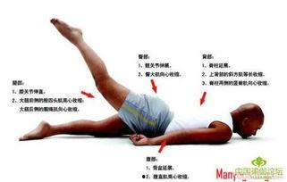 腰疼怎么锻炼视频,跟练这些锻炼视频，告别腰痛困扰