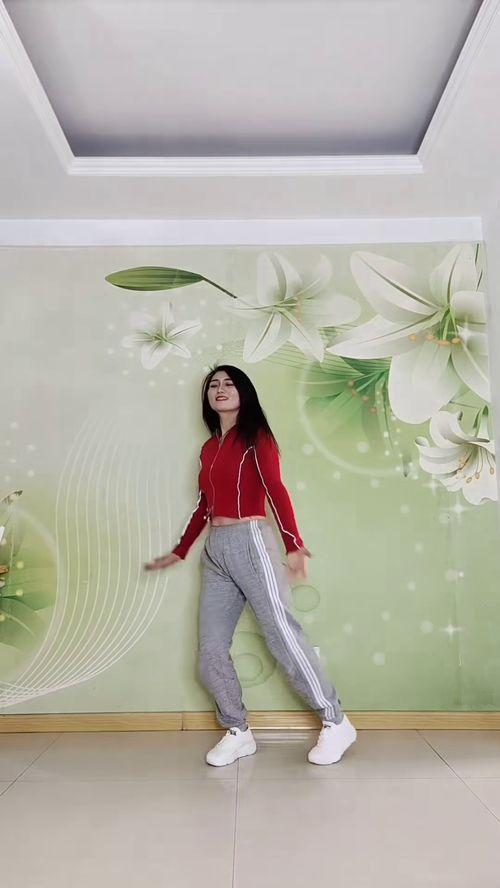 所有梅花泪广场舞视频,舞动心弦，共赏梅花泪