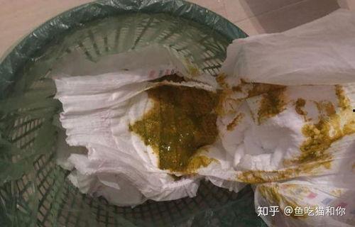 宝宝拉便便视频,揭秘宝宝肠道健康小秘密