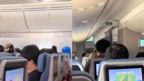 机场视频,航站楼活力瞬间