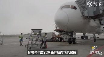 机场视频,航站楼活力瞬间