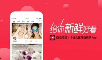 山寨视频,模仿与创新的边界探索