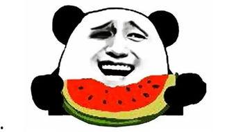 往期吃瓜爆料图片搞笑