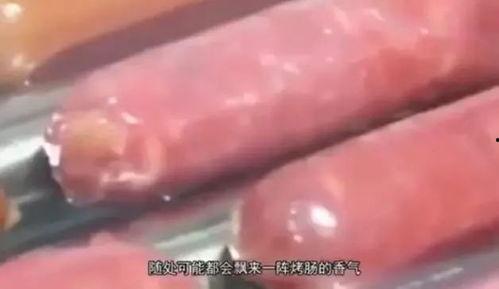 火腿肠视频,揭秘美味背后的制作奥秘