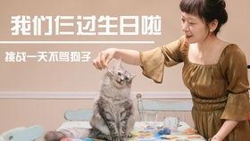 猫人视频,揭秘神秘生物的奇幻世界