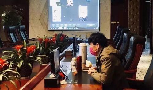 视频开会,会议内容精粹与亮点解析