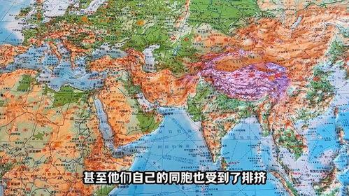 地图视频,城市风貌与地理变迁全景览