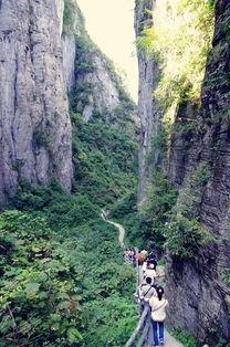 峡谷视频,揭秘游戏世界中的激情与智慧