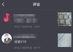 视频id,探寻数字世界的独特印记