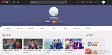 视频id,探寻数字世界的独特印记