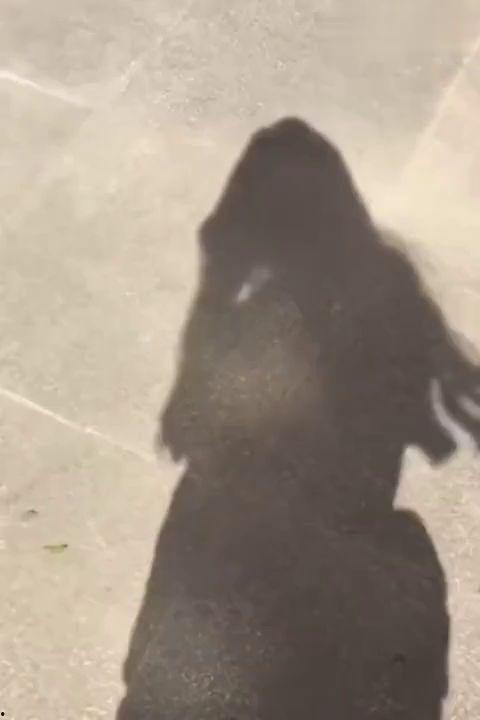 啊哈视频,轻松学习，高效掌握知识新境界