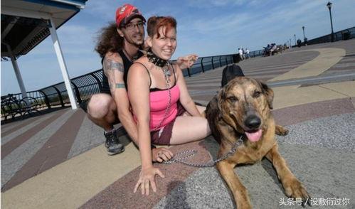 欧美女人与狗性交视频,女性与犬类性行为视频引发争议
