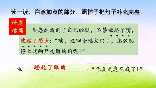 三年级语文说课视频,趣味盎然的教学探索之旅