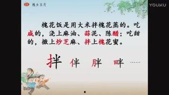 三年级语文说课视频,趣味盎然的教学探索之旅
