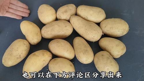 视频土豆,揭秘美食背后的故事