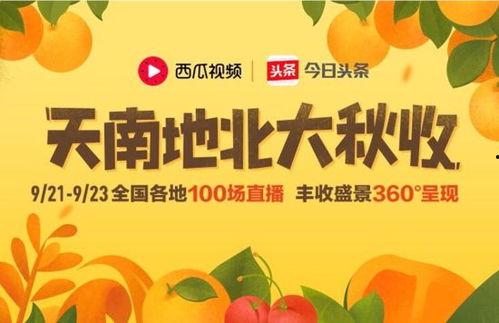 今日头条有什么瓜,娱乐圈最新爆料，揭秘明星幕后故事！