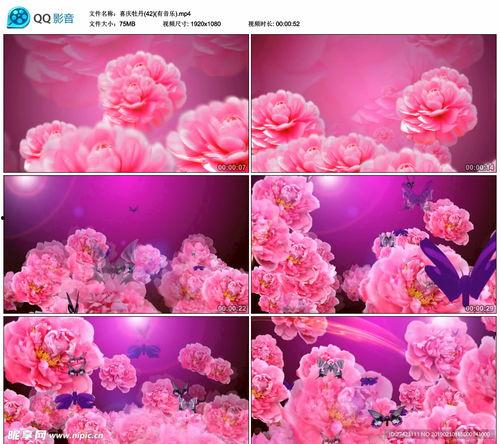 视频花,精彩瞬间背后的故事