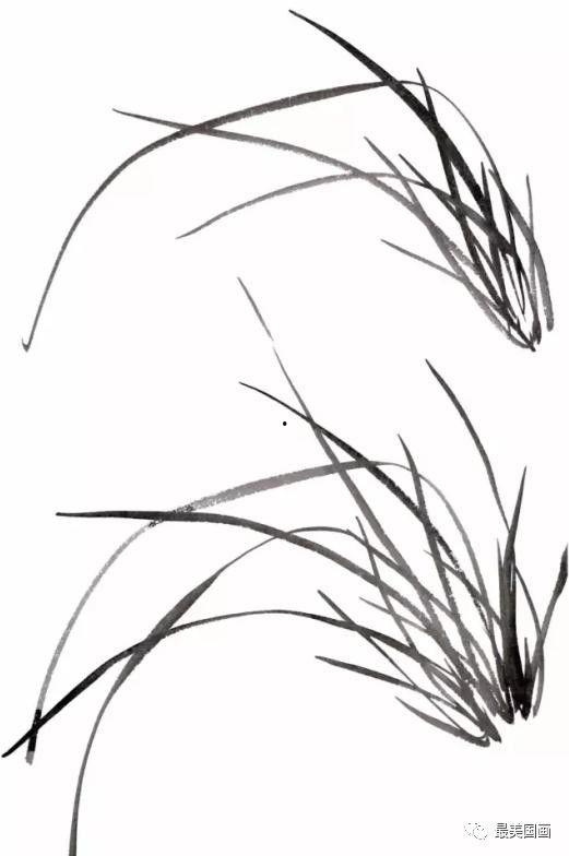 兰花画法视频教程,从入门到精通的绘画艺术之旅