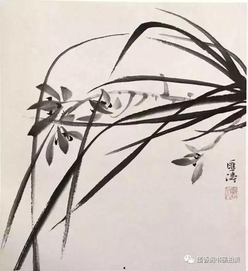 兰花画法视频教程,从入门到精通的绘画艺术之旅