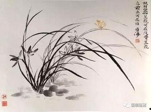 兰花画法视频教程,从入门到精通的绘画艺术之旅
