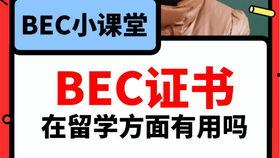 怎么找吃瓜爆料平台,轻松追踪热门吃瓜爆料平台的实用指南
