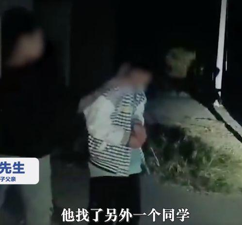 男子视频,一场令人惊叹的挑战之旅