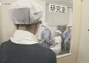 日本捐精视频,真实视频背后的故事与争议