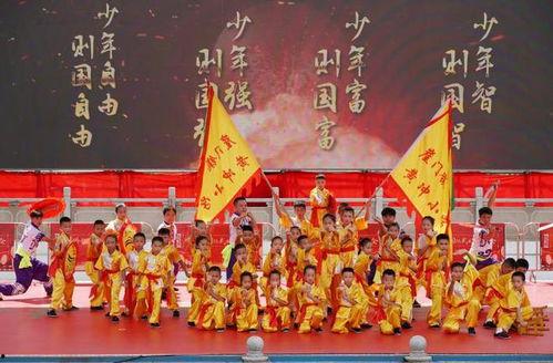 少年中国说武术视频,武术传承与青春风采的完美融合
