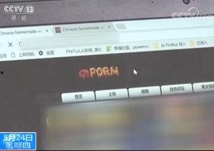 淫秽视频网址,追踪网址背后的黑暗世界