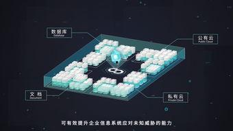 分量视频,精彩瞬间一网打尽