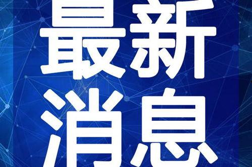 瞿群鸣最新视频,探索科技前沿与生活智慧