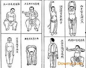 八段锦视频教学口令,轻松养生，健康生活新体验
