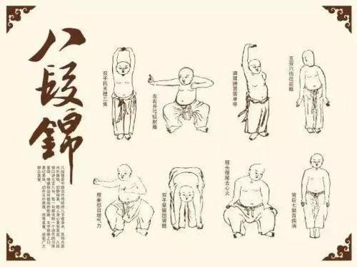 八段锦视频教学口令,轻松养生，健康生活新体验