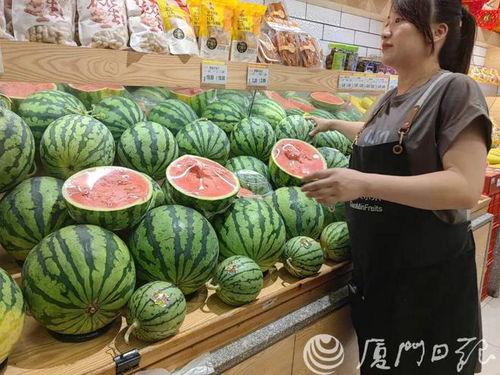 扁瓜今日价格行情最新,涨跌波动，市场动态一览