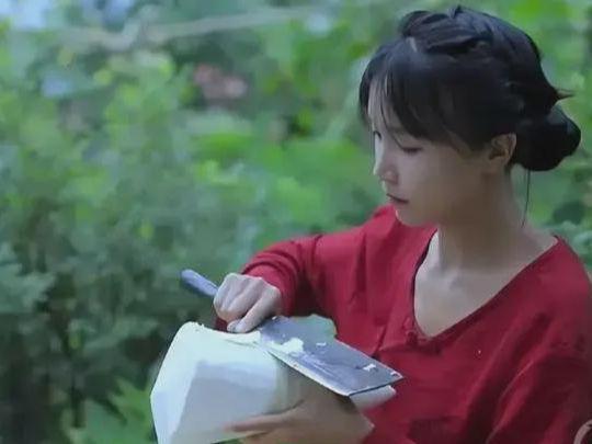 李子柒的视频,李子柒视频中的自然与生活美学