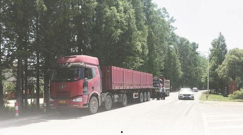 好吊色免费视频,独家内容与精彩瞬间大盘点