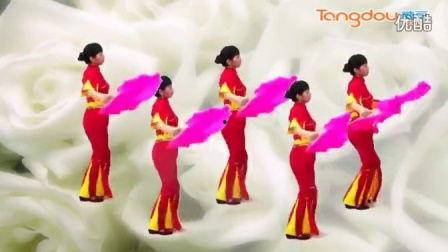 广场舞广场舞视频大全,视频大全中的舞动人生