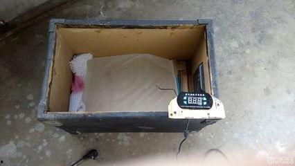 水床孵化技术视频,揭秘高效水产养殖新篇章