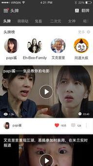 网红视频 下载,揭秘热门内容制作与传播之道