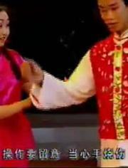 花鼓戏视频,传统戏曲魅力再现