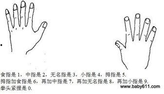 手脑速算视频教程,开启高效速算新篇章
