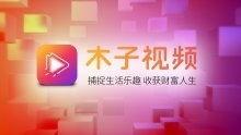 木子视频,探索视觉艺术的新境界