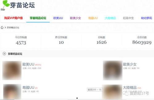 成人网页视频,内容、影响与监管探讨